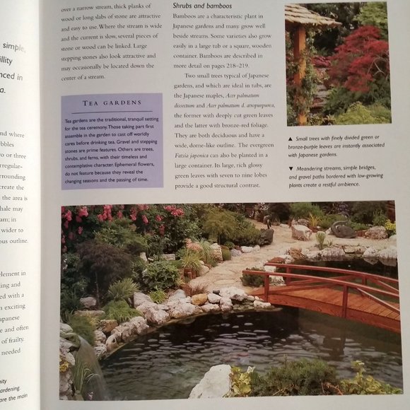 'The Small Garden' by David Squire - Picture 4 of 8